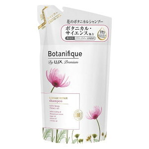 yP[X̔zy1P[X12zj[o bNX v~A {^jtB[N _[WyA Vv[ ߂p 350g