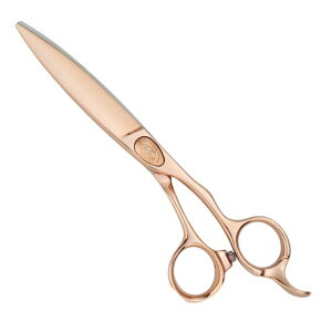 y񂹏iAzW[EF XPG-610B