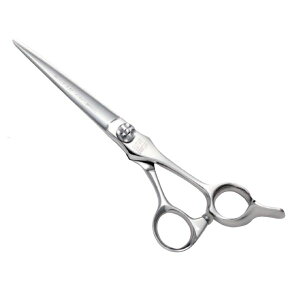 y񂹏iAzqJ 5STAR COSMOS 155 yVU[zyqJVU[z