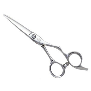 qJ Koryu 505yVU[zyqJVU[zy񂹏iAzyetpVU[ vp VU[ JbgVU[ ZjOVU[ XLoT~ U͂ g~OVU[iybgj et 