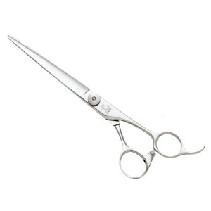 qJ BLAZE 573yVU[zyqJVU[zy񂹏iAzyetpVU[ vp VU[ JbgVU[ ZjOVU[ XLoT~ U͂ g~OVU[iybgj et 