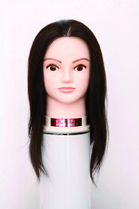 y񂹏iAz`[@JbgEBbO@No.5