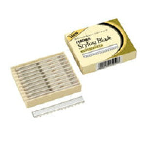 y񂹏iAztFU[ X^COuCh M[^CvEX 10