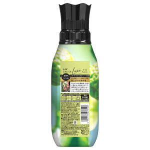 �y�P�[�X�̔��z�y1�P�[�X12���zP��G�@���m�A�I�[�h�����N�X�V�_�[�E�b�h���x���K���b�g�n�[�u�̍���{�́@475mL�i�����܁j