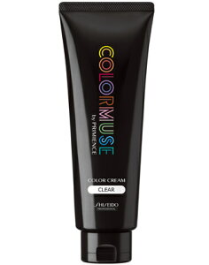 SHISEIDO vtFbVi J[~[Y J[N[ NA 240g