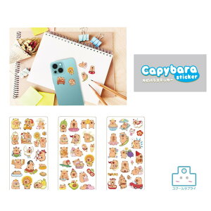 yK㗝XzJso XebJ[ V[ 6 1200 qC` 킢 