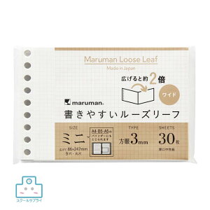 yK㗝Xz[Y[t~j Ch 3mmr }} m[g 蒠 