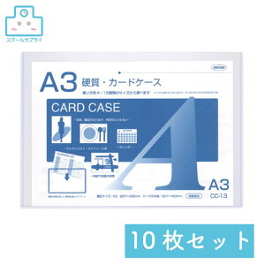 yK㗝Xz dJ[hP[X A3 10Zbg hvX`bN ORIONS IIY