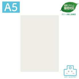 【正規代理店】 PET透明下敷 A5 10枚セット 共栄プラスチック ORIONS オリオンズ 日本製 グリーン購入法推奨