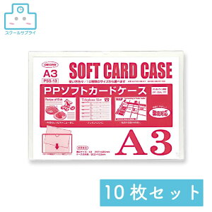 yK㗝Xz PP\tgJ[hP[X A3 10Zbg hvX`bN ORIONS IIY