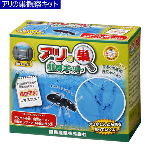 昆虫飼育用品 アリの巣 観察 ペットの人気商品 通販 価格比較 価格 Com