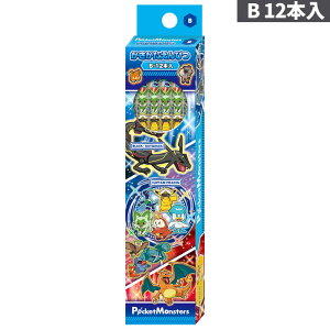 yMzyB^2BzVEm[g |PbgX^[(|P) ҂ 1_[X12{ Zp