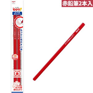 yԉMz g{M ۂpԂ҂ ippoCb| Zp 2{ BCA-260