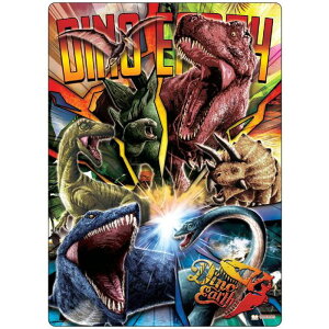 ݌Ɍʉiy~zTX^[  fBmEA[X NA B5TCY S4139682