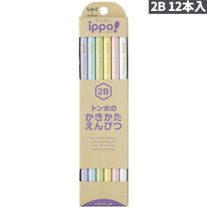 yMzy2Bzg{M ҂ ippo!V[Y i` pXeJ[ M 1_[X12{ KB-KNPT01-2B