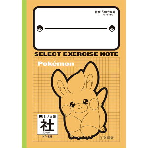 yЉzy B5 zy 5mm S[_[ zZNgwK |PbgX^[ZNgm[g(|PV[Y) |P/pKP-5M[OK