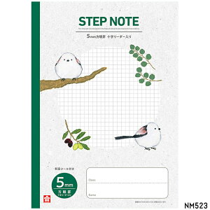 y S zy B5 zy 5mm S[_[ zTNNpX STEP NOTE@Xebvm[g \S5