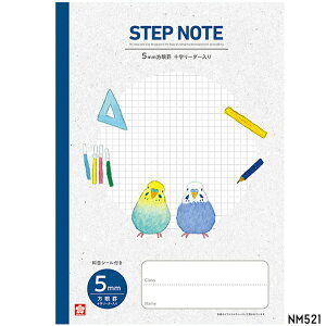 y S zy B5 zy 5mm S[_[ zTNNpX STEP NOTE@Xebvm[g \S5