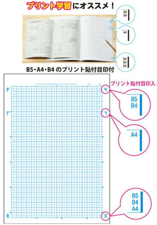 人気ブランドの新作 算数 B5判 計算 5mm方眼罫 中心リーダー入 アピカ スクールキッズ学習帳 SLS10CD ドリル用ノート カクレクマノミ discoversvg.com 人気ブランドの新作 算数 B5判 計算 5mm方眼罫 中心リーダー入 アピカ スクールキッズ学習帳 SLS10CD ドリル用ノート カクレクマノミ discoversvg.com