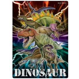 【下敷き】恐竜博士下敷き クツワ ダイナソー下じき ティラノサウルス/トリケラトプス/モササウルス/プテラノドン/ステゴサウルス/スピノサウルス/フクイラプトル /アロサウルス VS018 メール便可