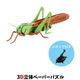 ウラノ ペーパークラフト 昆虫 トノサマバッタ 多色シリーズ【メール便送料無料】