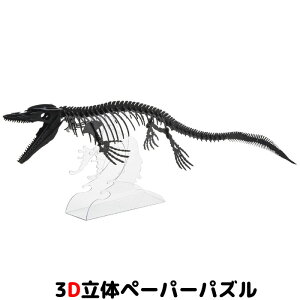 Em y[p[Ntg V[Y TTEX ubNy[֑z