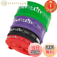 【送料無料】【楽天ランキング1位獲得】TheFitLife トレーニングチューブ 筋トレチューブ 懸垂チューブ (…