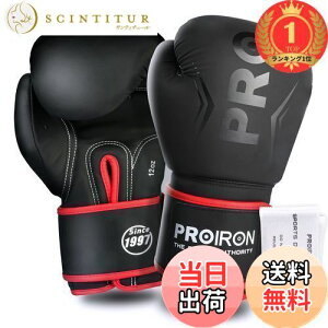 �y���������z�y�y�V�����L���O1�ʊl���zPROIRON �{�N�V���O�O���[�u 12oz �{�N�V���O�p�O���[�u �p���`���O�O���[�u ���� �ϋv�������� ���K boxing gloves �����e�i���X�o�b�O�t�� 1�N�Ԃ̕ۏ�