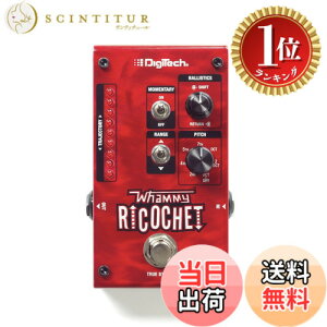 �y�y�V�����L���O1�ʊl���z�y���������z�y�������K�A���i�zDigiTech �f�W�e�b�N WHAMMY RICOCHET ���[�~�[�E���R�V�F