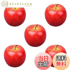 yzCharmoon Hi Tv  ʕ t[c A  vJ fBXvC CeA W ͌^ 5 Zbg (bh)