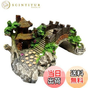 yzCharmoon ANAE  IuWF  A[` B VF^[ A a {뉀 (MTCY)