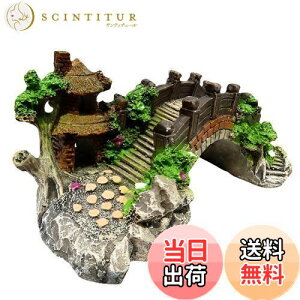 yzCharmoon ANAE  IuWF  A[` B VF^[ A a {뉀 (S, O[)