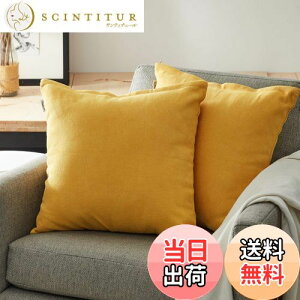 yzTopfinel NbVJo[ lۂ 45×45cm k  Ȗ n \t@w Jo[ zcJo[ CG[ 2ZbgiS10Fj