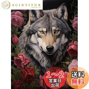 yzReofrey _Ch̊G T, _ChA[g NXXeb` Lbg , Lbg Sʓ\t^Cv r[YA DIY |Lbgz[ Xg CXg[ 