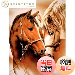 yzReofrey _Ch̊G n, _ChA[g NXXeb` Lbg , Lbg Sʓ\t^Cv r[YA DIY |Lbgz[ Xg CXg[ 