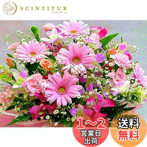 yzDIYNXXeb`Lbg_ChG5DhLbgAsN̔WOWDECORthDIY_ChA[gyCgG (t[Y)