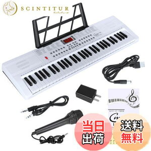 yzHricane L[{[h sAm dqsAm 61 200މF 200ރY 60ȃf LCDfBXvC 錮 y {pl wbhtHΉ q S Kp USBP[