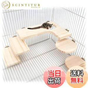 yzRimikuru nX^[ ؐ ݑ Xe[W Xebv ybgpi ANZT[ V}X K `` Zbg (5_Zbg)