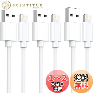 yziphone [d P[u CgjOP[u MFiFؕiy1M 3{Zbgz[dR[h }[d lightning fh~ ϋv iphone 14/13/13 Pro/12/11/X/8/8plus/7/6/ iPad eΉ