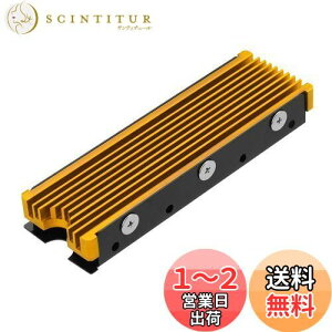 yzM.2 2280mm SSDʃq[gVNAPC / PS5pT[}VRpbhtM.2 PCIE NVMe SSD(S[h)