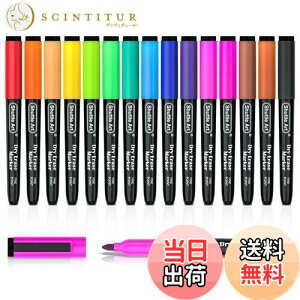 yzShuttle Art zCg{[h}[J[ }[J[y 15FZbg C }Olbgt C[T[t zCg{[hp KX/vX`bN/LEDŔɏ ItBX ƌ 