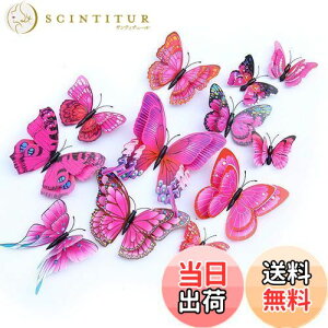 yzULIN  3D  EH[XebJ[ ǎV[  ʃe[v V[ rO ① CeA ǃV[  킢 EH[y[p[ |X^[ p[v