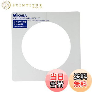 yz~JT(MIKASA) \tgo[Q[W a25cmp GLDX zCg