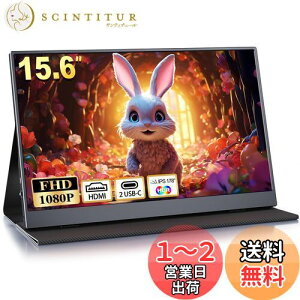 yzoCj^[ 15.6C` fBXvC 1920x1080FHD Q[~Oj^[ XCb`p IPSplPx400nits HDR[hΉ ^ Xs[J[ WHD/USB-A/Type-C/mini HDMI[q