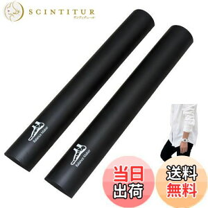 【送料無料】【バランスメーカー(2本入り) 】足裏 姿勢矯正 筋トレ 偏平足 アーチサポート 土踏まず アーチ 足の疲れ 体幹 むくみ 立ち仕事 スポーツ