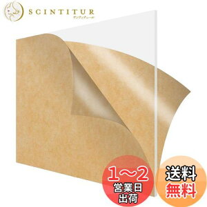 【送料無料】DARENYI 透明アクリル板 厚さ5mm A3 サイズ 1枚セット 大きい 高透明アクリルボード 420 x 297mm 保護フィルム付き 絵画、DIY装飾、教育などに適しています