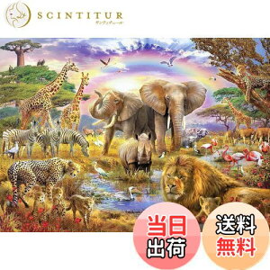 yzCHengQiSM 1000s[X WO\[pY  pY  q&l v[gi70×50cmj