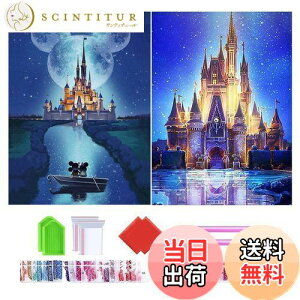 yz2_ChA[g Lbg Wikrtoria 5D _CAhA[g Zbg hSʓ\t_CAhr[YGLbg DIY|Lbg UCNA[g nhCh 킢