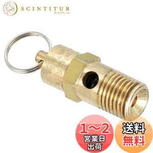 yzPATIKIL 1/4IXNPT S 1 ͊J GA[Xou GARvbT[p 135 PSI ݒ舳