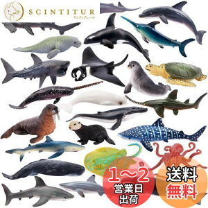 【送料無料】TOYMANY 24PCS海洋生物フィギュア 海の生き物フィギュアセット ミニ動物フィギュア ミニ海洋動物モデル リアルな動物模型 海洋おもちゃ 人気動物 玩具 誕生日プレゼント クリスマ